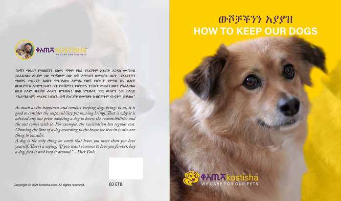 HOW TO KEEP OUR DOGS