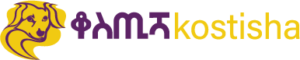 Kostisha
