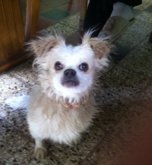 MY PICTURES 075 - Copy