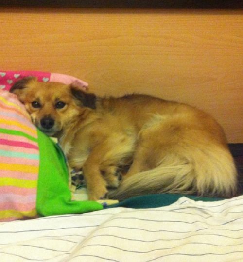 MY PICTURES 154 - Copy - Copy