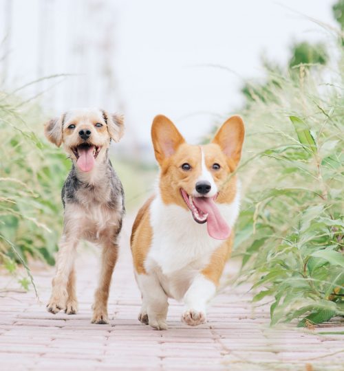 alvan-nee-73flblFUksY-unsplash