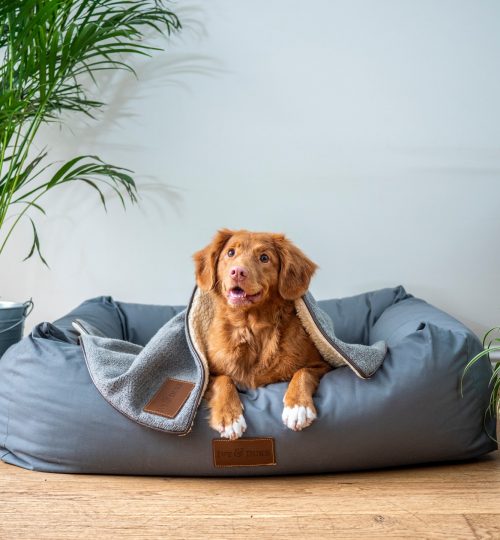 jamie-street-s9Tf1eBDFqw-unsplash