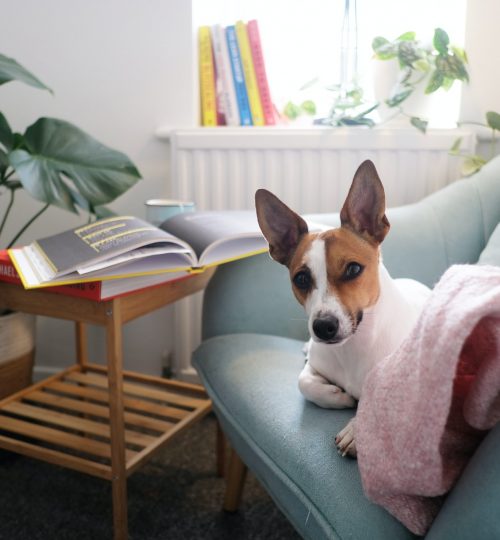 jexo-n9tLDIhFvXY-unsplash