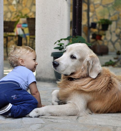 mali-desha-nApjoRxcCoc-unsplash