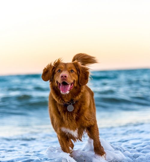 oscar-sutton-yihlaRCCvd4-unsplash (2)